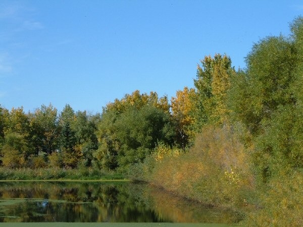 Waldheim Valley Regional Park