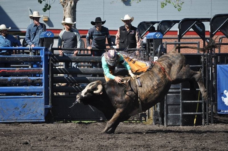 Warman Rodeo