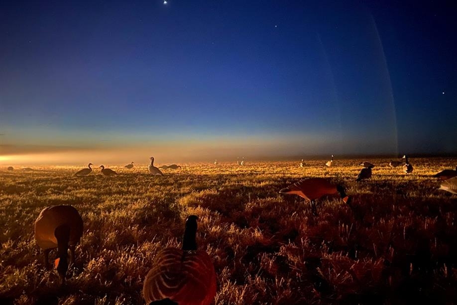 Western Trophy Outfitters & Great Grey Outfitters