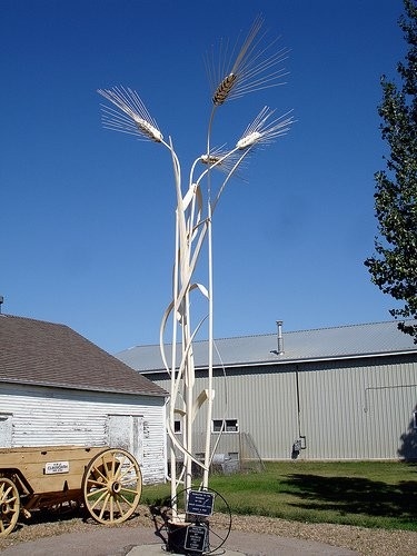 Sceptre - Metal wheat sculpture