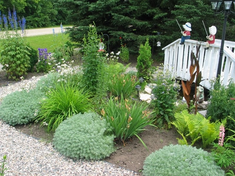 White Fox - Local Garden