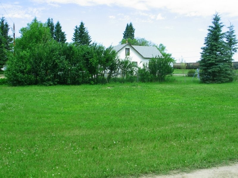 White Fox - Residential Area