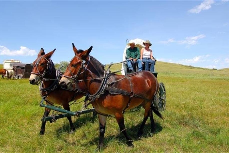 Wood Mountain Post Provincial Historic Park