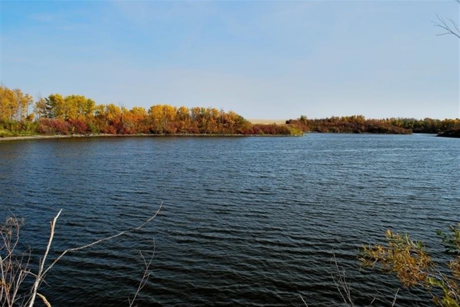 Wynyard Regional Park