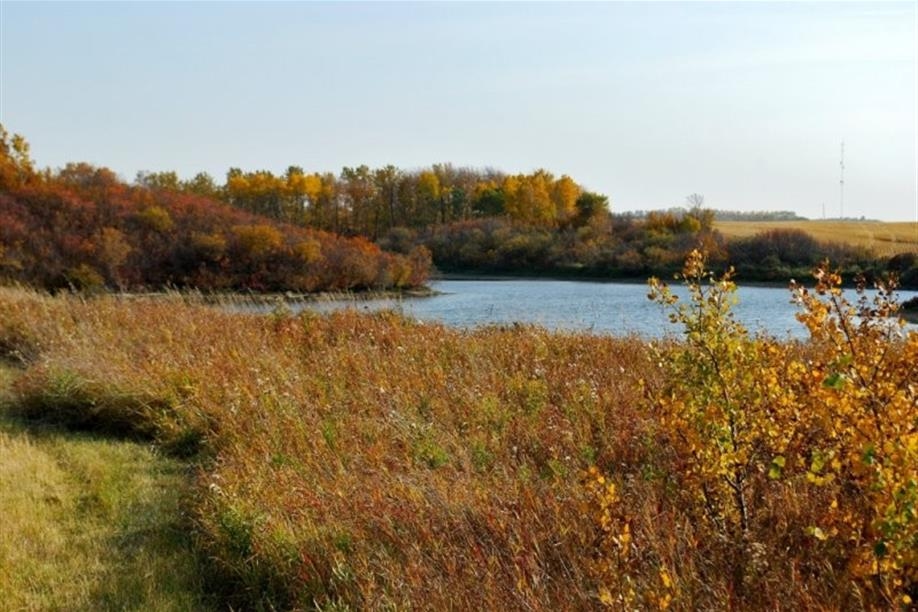 Wynyard Regional Park