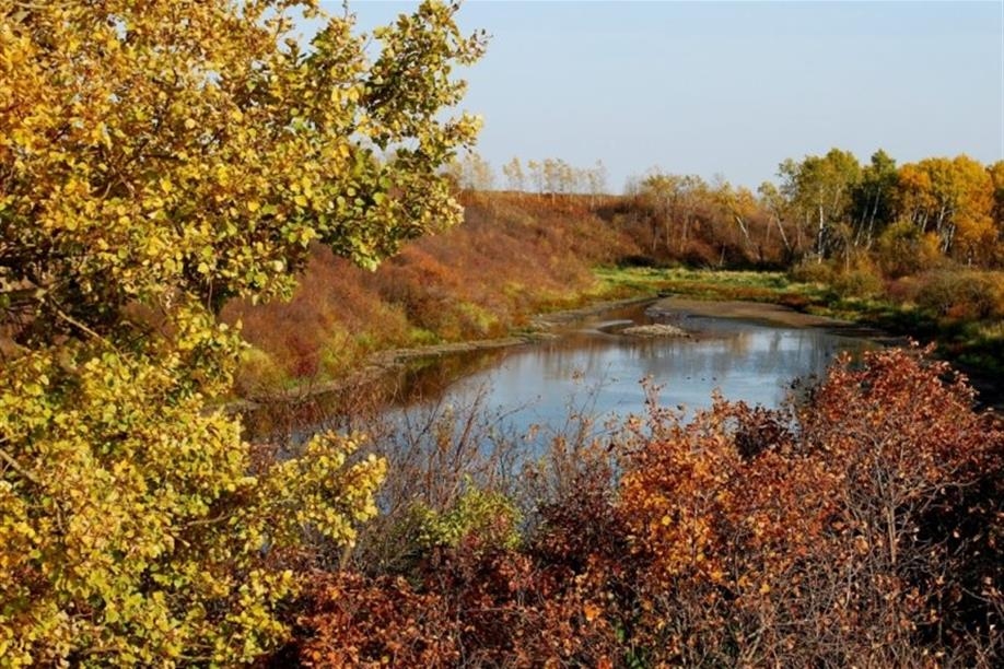 Wynyard Regional Park
