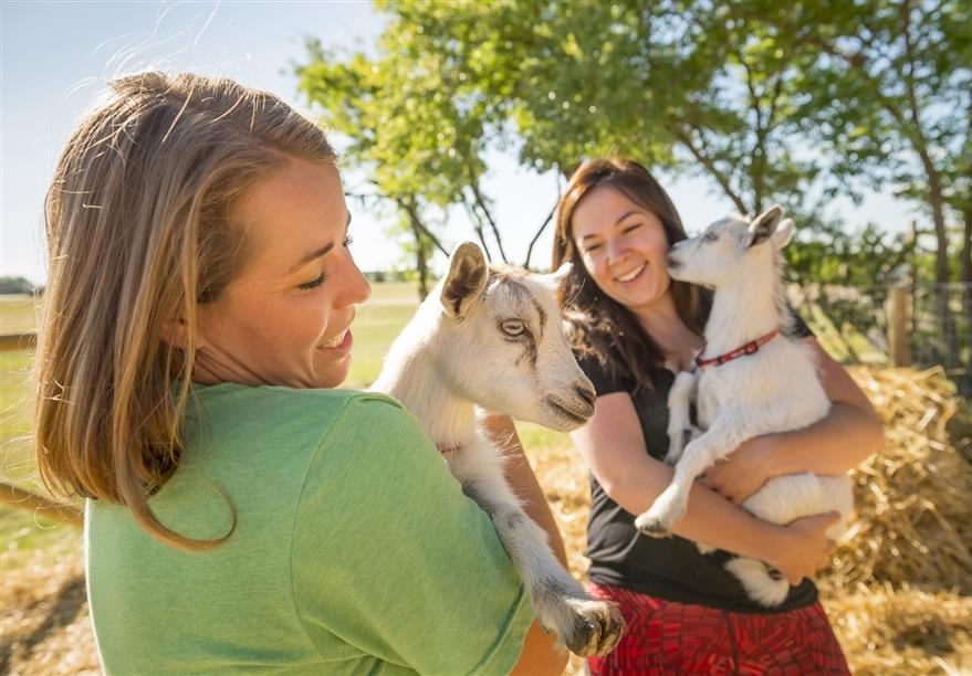 Grotto Gardens Family Fun Farm