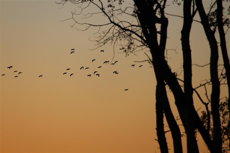 Aurora Skies Outfitting