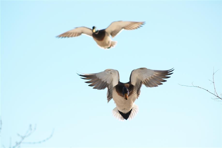 Aurora Skies Outfitting