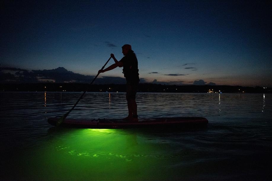 Back2Nature Wellness and Adventures