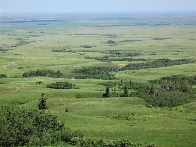 Cypress Hills Bald Butte and Lookout Point