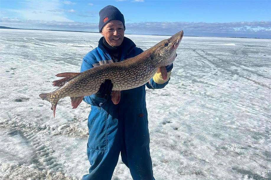 Beaupre Creek Lodge & Cabins Inc.
