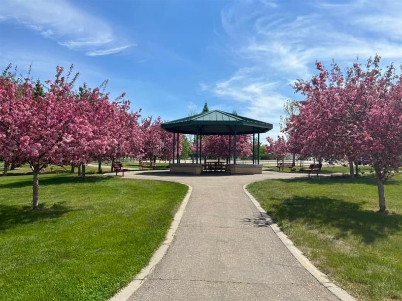 Sandra Schmirler Olympic Gold Park