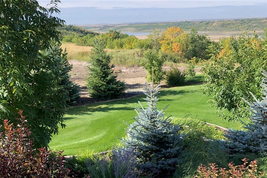 Bird Lovers Bed and Breakfast