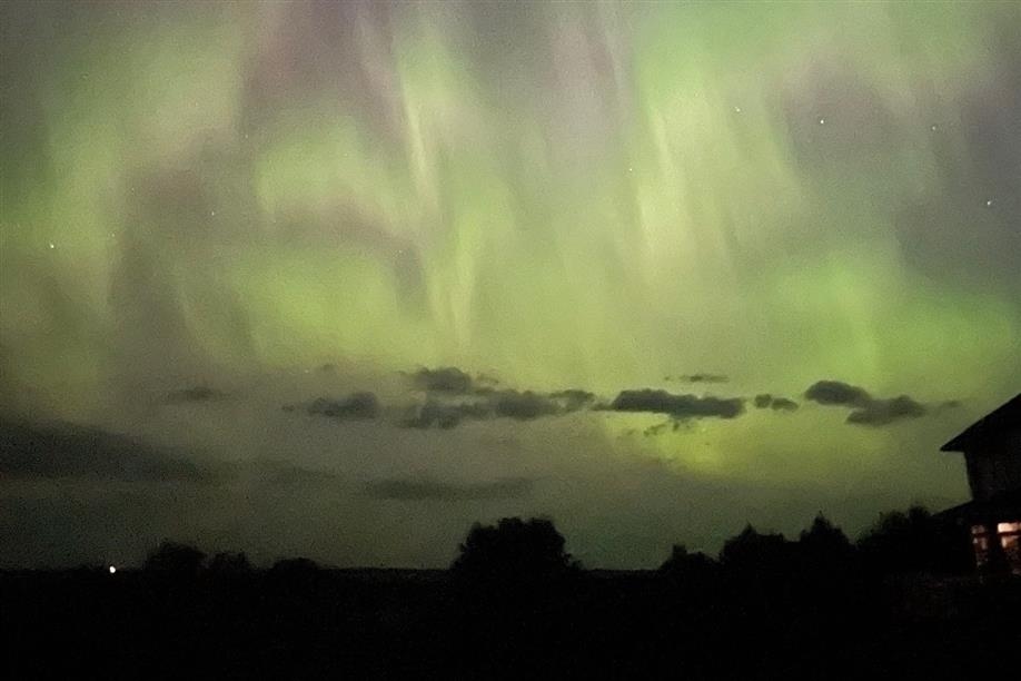 Bird Lovers Bed and Breakfast