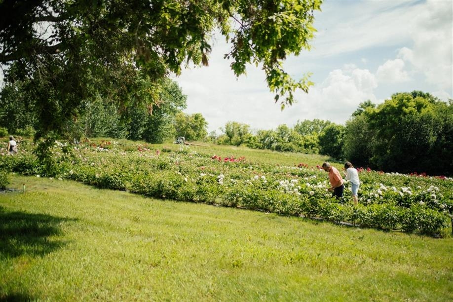 Black Fox Farm & Distillery