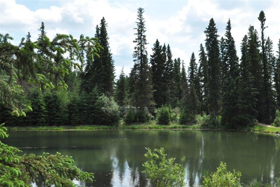 Brightsand Lake Regional Park