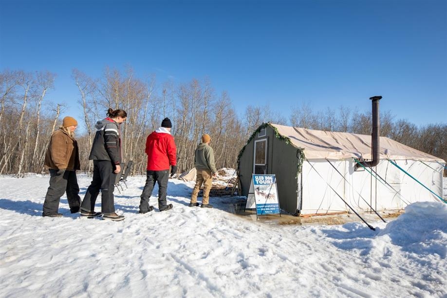 Campbell's Racing Sled Dogs