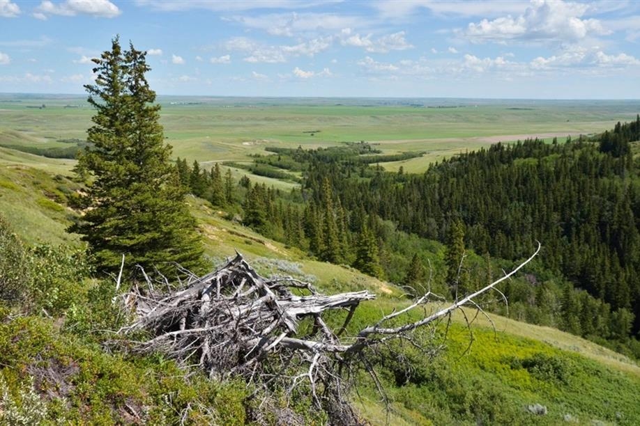 Chimney Coulee Historic Site