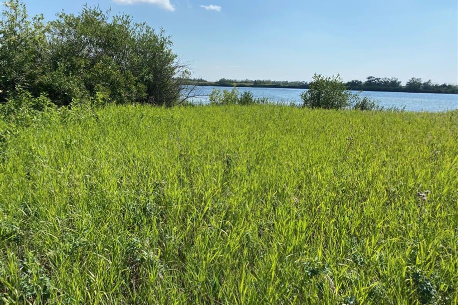 Condie Nature Refuge