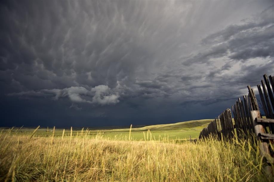 The Crossing at Grasslands