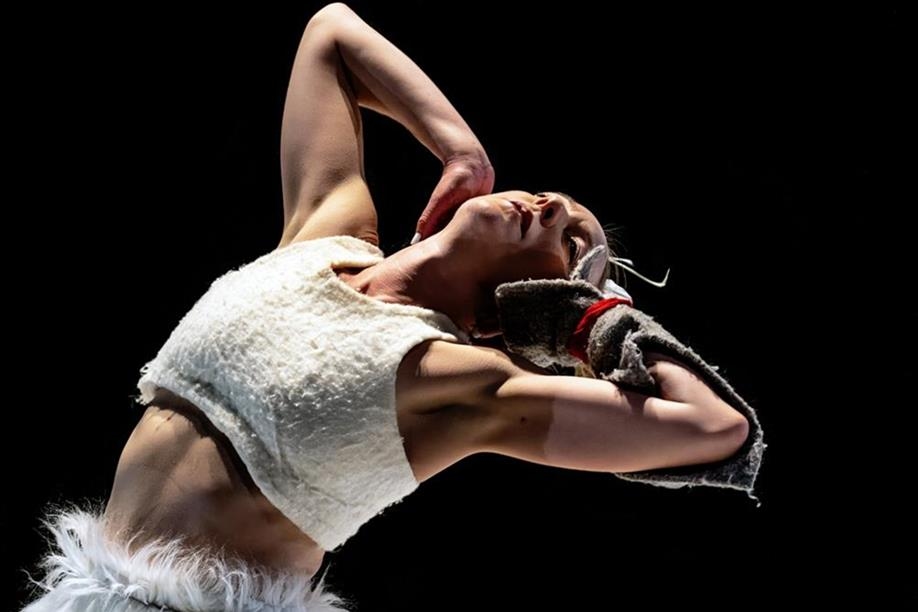 New Dance Horizons