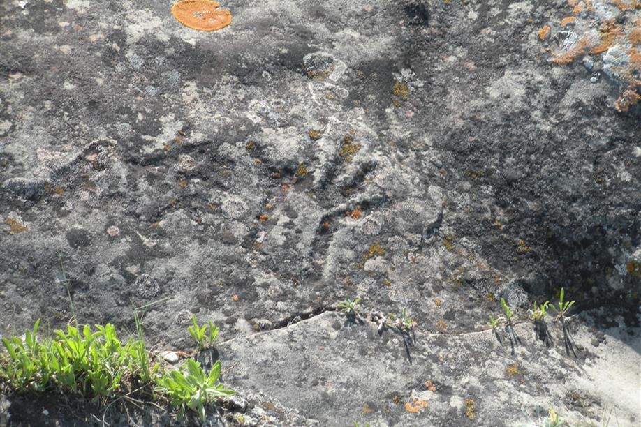 St. Victor Petroglyphs Provincial Historic Park