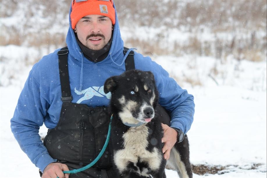 Eagle Ridge Dog Sled Tours