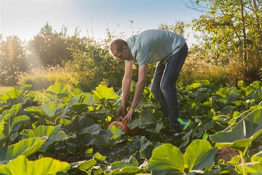 Mabel Hill Farm Kitchen & Marketplace
