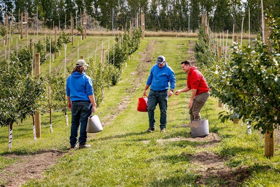 Crossmount Cider Company