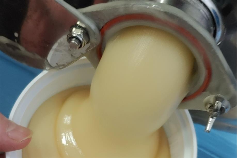 Forest Fringe Orchards