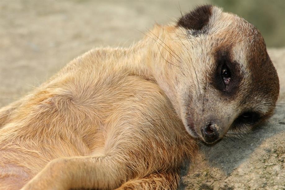 Saskatoon Forestry Farm Park & Zoo