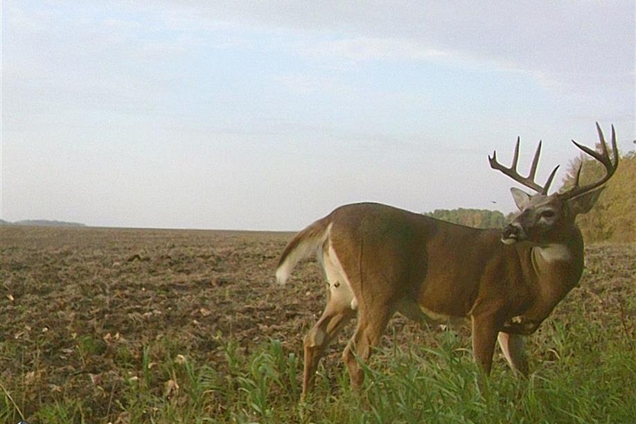 Hawkrock Wilderness Adventures