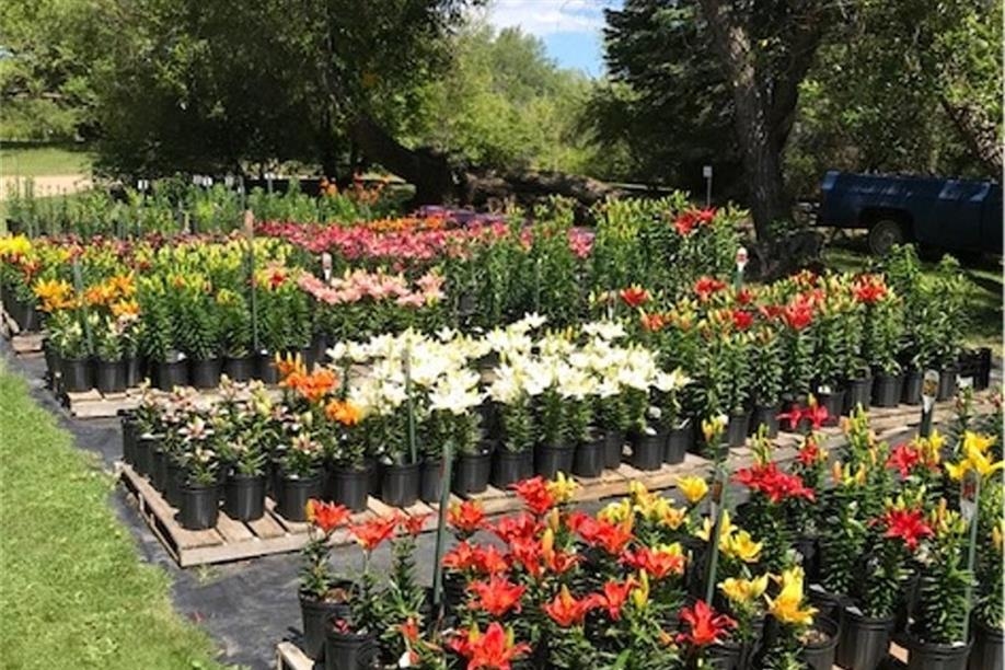 Honeywood (Dr. A. J. Porter) Heritage Nursery