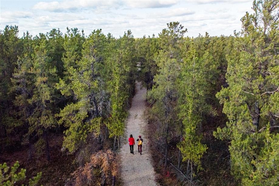 Hudson Bay Trail Network