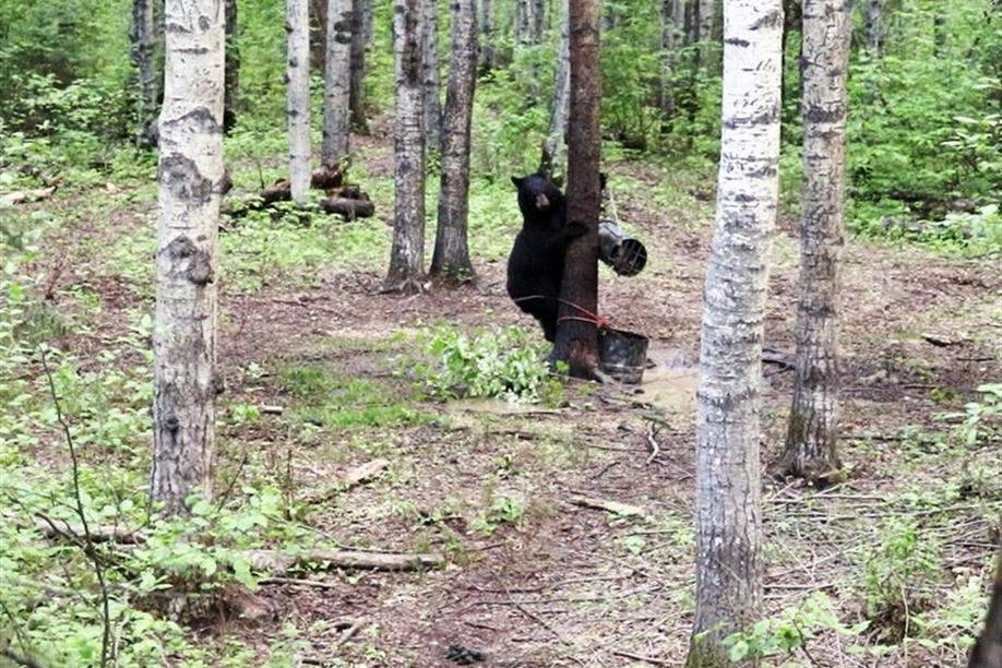 Kutawagan Outfitters