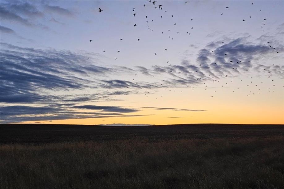 Lines in the Sky Outfitting