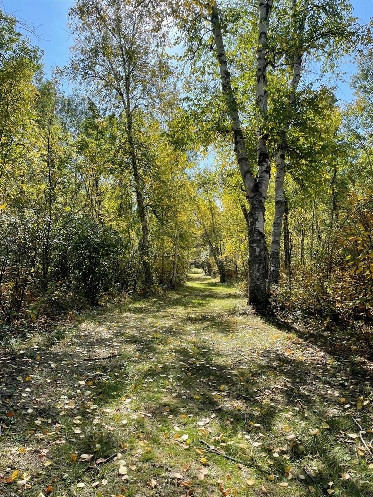 Makwa Lake Provincial Park Trails