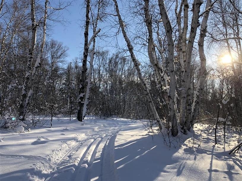 Makwa Lake Provincial Park Trails