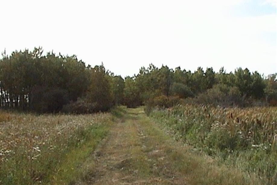 Neudorf Trails