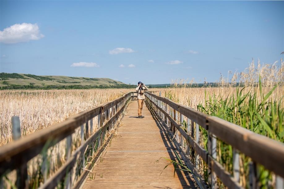 Buffalo Pound Provincial Park