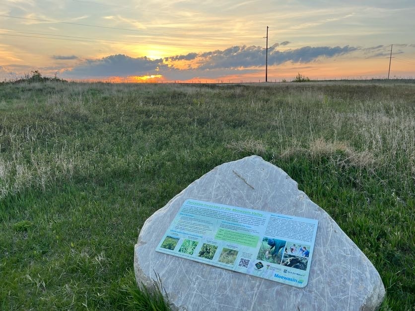 Meewasin Northeast Swale; Photo: Meewasin Valley Authority