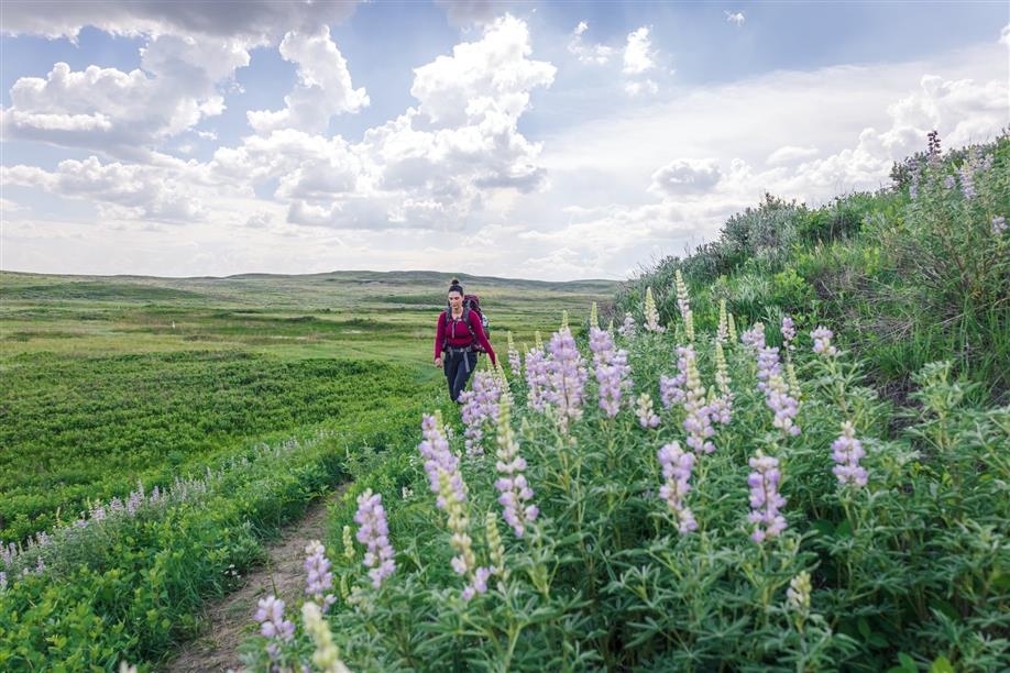 Valley of 1000 Devils Trail - Grasslands National Park East Block; Photo: Benjamin Hutton Photography