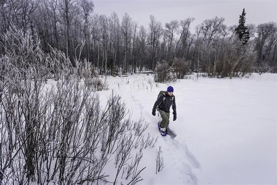Greenwater Lake Provincial Park Trails