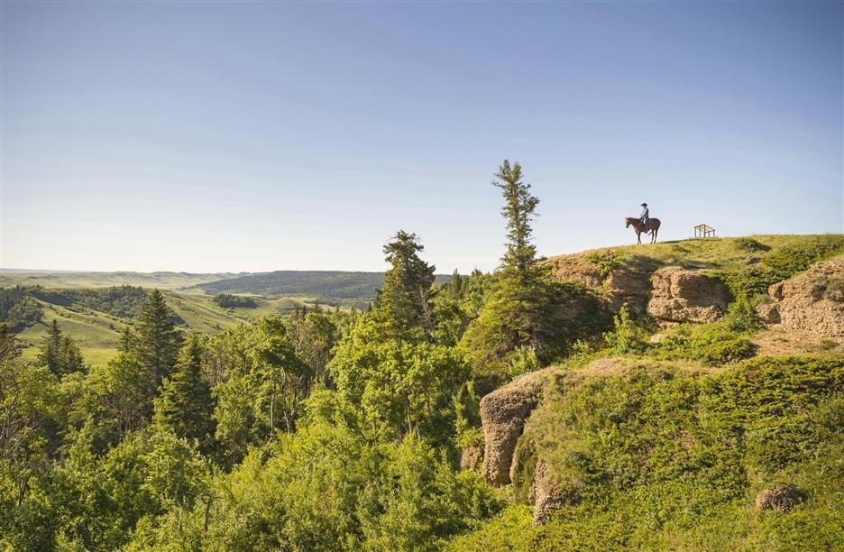Cypress Hills Conglomerate Cliffs