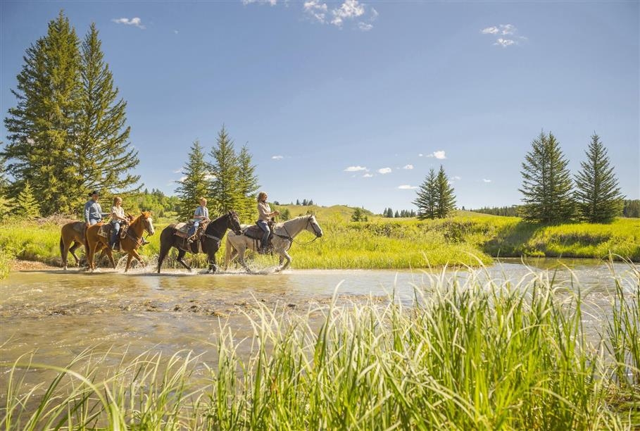 Cypress Hills Interprovincial Park Trails