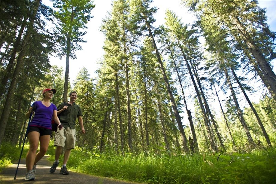 Cypress Hills Interprovincial Park Trails