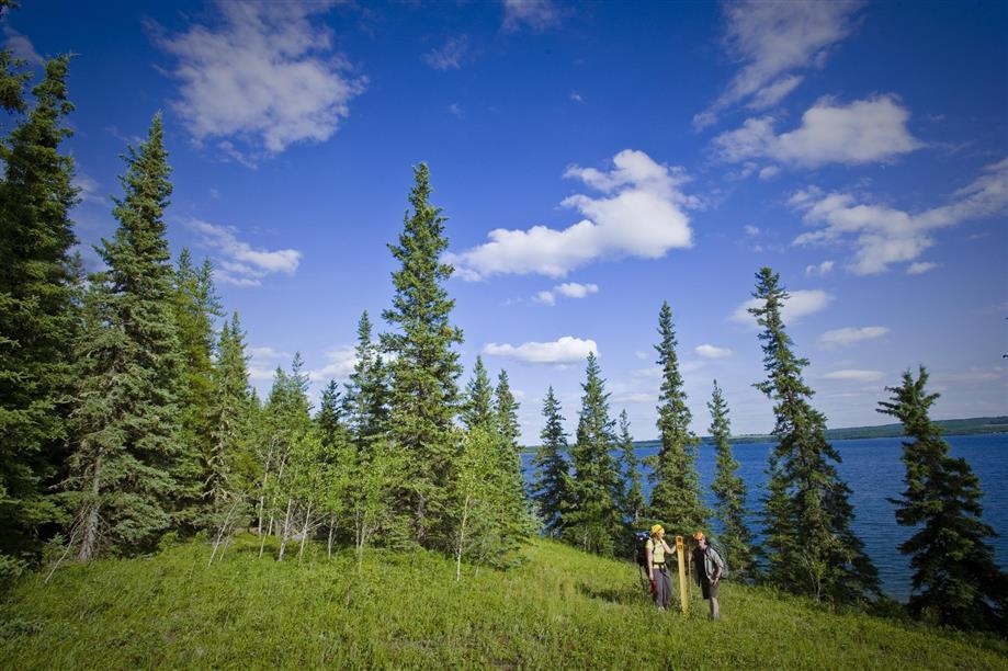 Meadow Lake Provincial Park Boreal Trail; Photo: Tourism Saskatchewan/Paul Austring