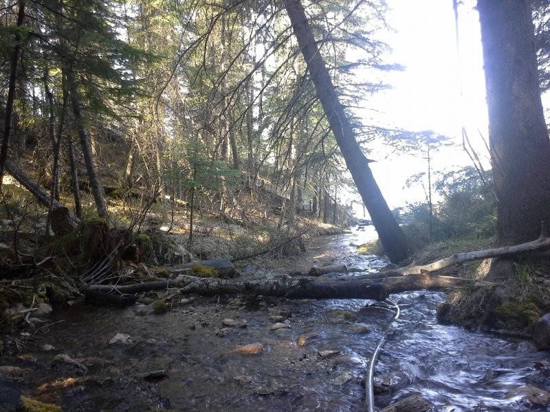 Parr Hill Lake Recreation Site