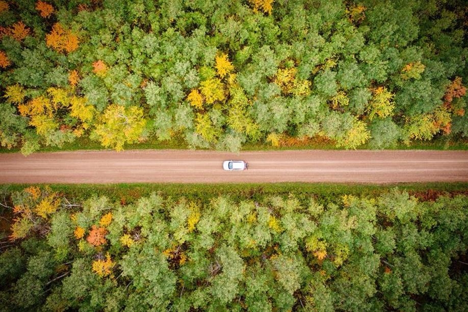 Porcupine Hills Provincial Park